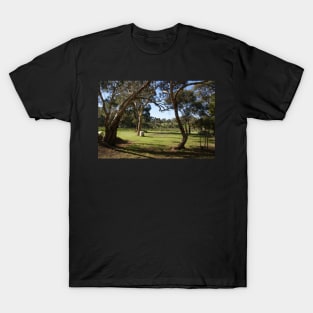 Gum Trees and Vineyard by Avril Thomas T-Shirt